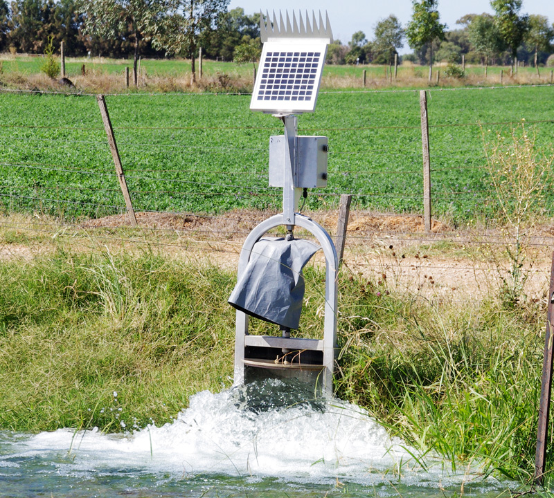 flood irrigation 