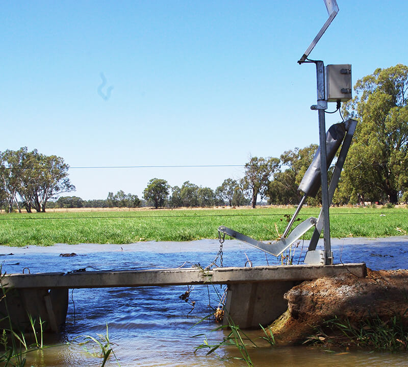 flood irrigation 1